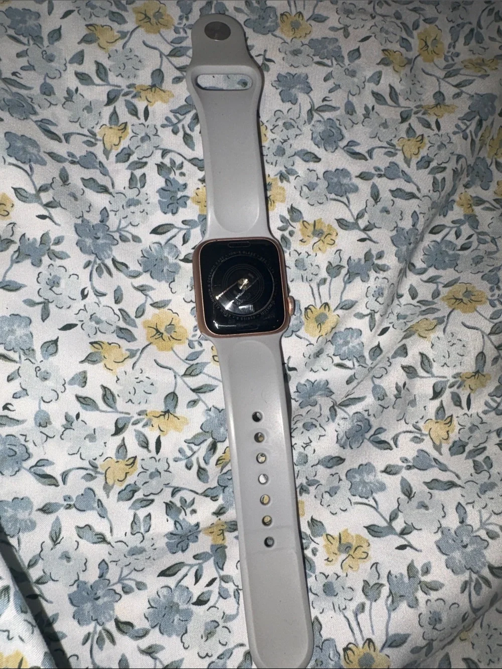 Series 5 Apple Watch